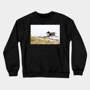 Duck on Pond Crewneck Sweatshirt